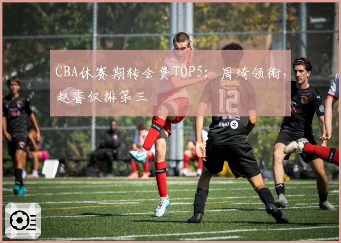 CBA休赛期转会费TOP5：周琦领衔，赵睿仅排第三