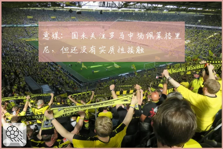 意媒:国米关注罗马中场佩莱格里尼,但还没有实质性接触